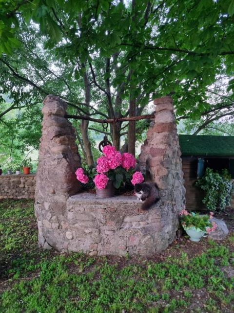 Agriturismo Case In Collina ヴォルタ・マントヴァーナ エクステリア 写真